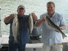 (09/18/2014) - Nice Striped Bass